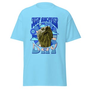 May include: Light blue t-shirt with a graphic design featuring a turtle and the text "JUST ANOTHER DAY" in blue and white. The turtle has a textured, green and brown appearance. The design includes flowers and clouds.