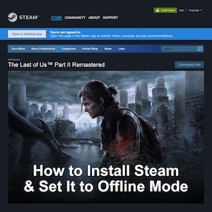 The Last of Us 2 - Cómo instalar Steam - Archivo PDF