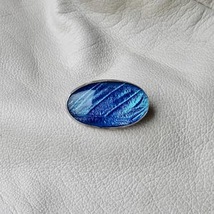 vintage butterfly wing pin sterling silver blue morpho butterfly wing brooch oval sterling blue butterfly pin 925 butterly pin
