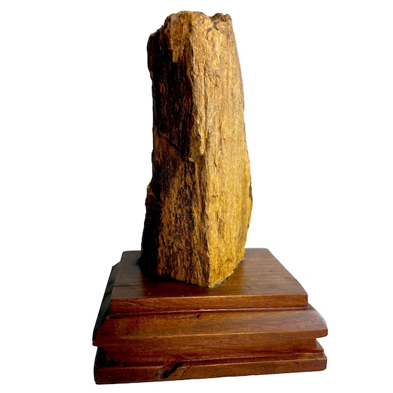 Vintage Mounted FOSSILIZED WOOD with Bark, 3-Sided ~5.5x3x2.75"