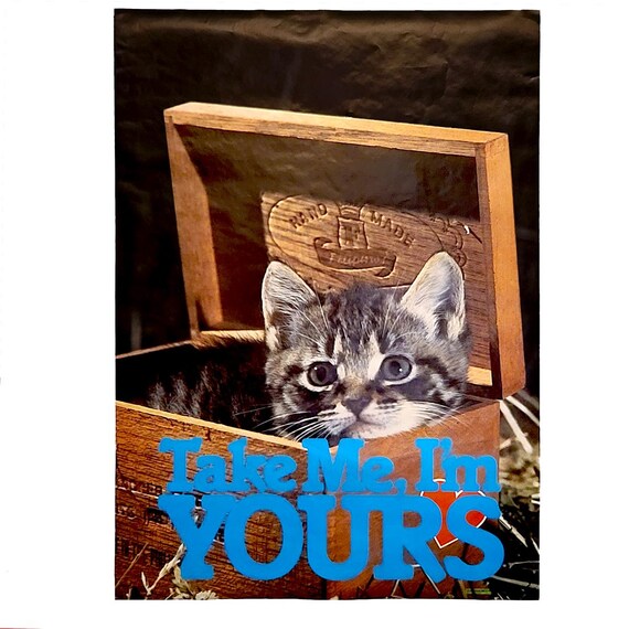 1979 Pro Arts "Take Me I'm Yours" Kitten Poster