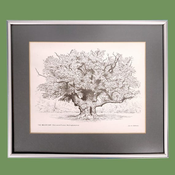 1986 Sherwood Forest THE GREAT OAK Print
