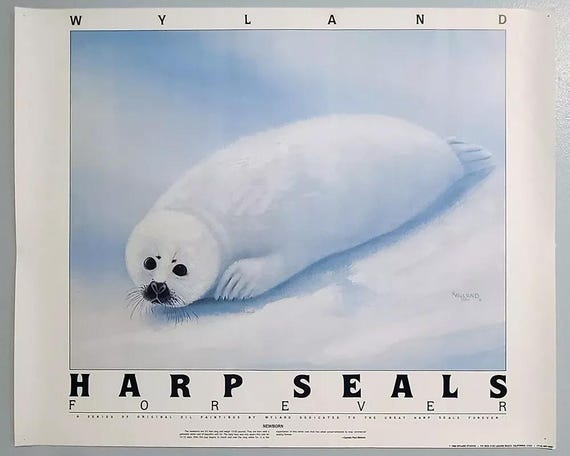 WYLAND Newborn HARP SEAL Vintage Original Lithograph Print, 20x24"