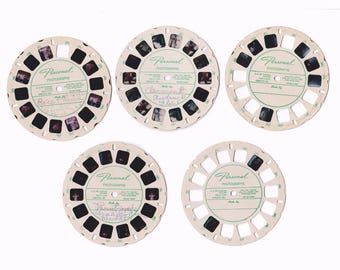 Filmiki osobiste Sawyers View-Master z lat 50., Wakacje na Florydzie, Dżungla papug