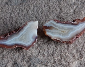 Malawi Agate - Alimajo Deposit - Nodule Cut and Polished