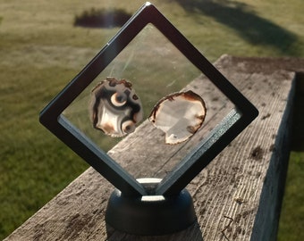 Agate Slice Window Decoration/Sun Catcher