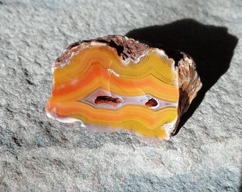 Malawi Agate - Alimajo Deposit - Half Nodule Cut and Polished