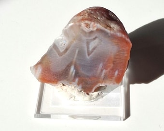 Lake Superior Agate Nodule - cut and polished