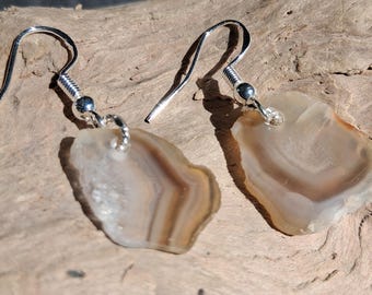 Lake Superior Agate Earrings