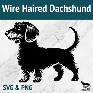 Może przedstawiać: Czarno-biała sylwetka psa rasy Dachshund o szorstkiej sierści stojącego na białym marmurowym tle. Tekst "Wire Haired Dachshund" znajduje się w górnej części obrazu, a "SVG & PNG" w dolnej części obrazu.