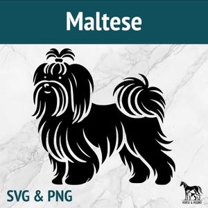 Maltês SVG - Raças de cães SVG - Silhueta PNG Vector Clipart - Pacote de arquivos cortados a laser - Cricut xTOOL Glowforge - Arte de corte de brinquedo fofo