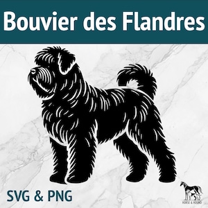 Bouvier des Flandres SVG - Hunderassen Silhouette PNG Vektor Clipart - Laser geschnitten Datei-Bundle Cricut xtool Glowforge - Haustierliebhaber niedlich