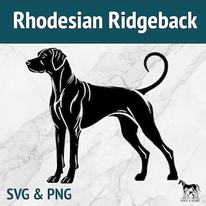 Rhodesian Ridgeback SVG - Raças de cães Silhueta PNG Vetor Clipart - Pacote de arquivos cortados a laser para Cricut xTOOL Glowforge - Adesivo para amantes de animais de estimação