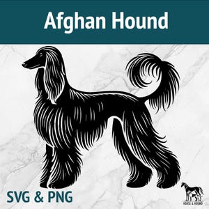 Lebrel afgano SVG - Silueta de razas de perros PNG Clipart vectorial - Paquete de archivos cortados con láser de lebrel para Cricut xTOOL Glowforge - Camiseta para amantes de las mascotas