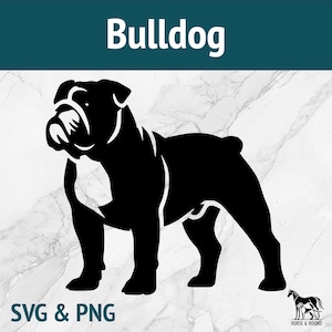 Bulldog SVG - Raças de cães Silhueta PNG Vetor Clipart - Pacote de arquivos cortados a laser Cricut xTOOL Glowforge - Amante de animais de estimação Brinquedo Filhote de cachorro Bullie AKC