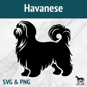 Havanese SVG - Silhueta de raças de cães - Pacote de arquivos cortados a laser - PNG Vector Clipart - Arte de corte para Cricut xTOOL Glowforge Engraving - Brinquedo