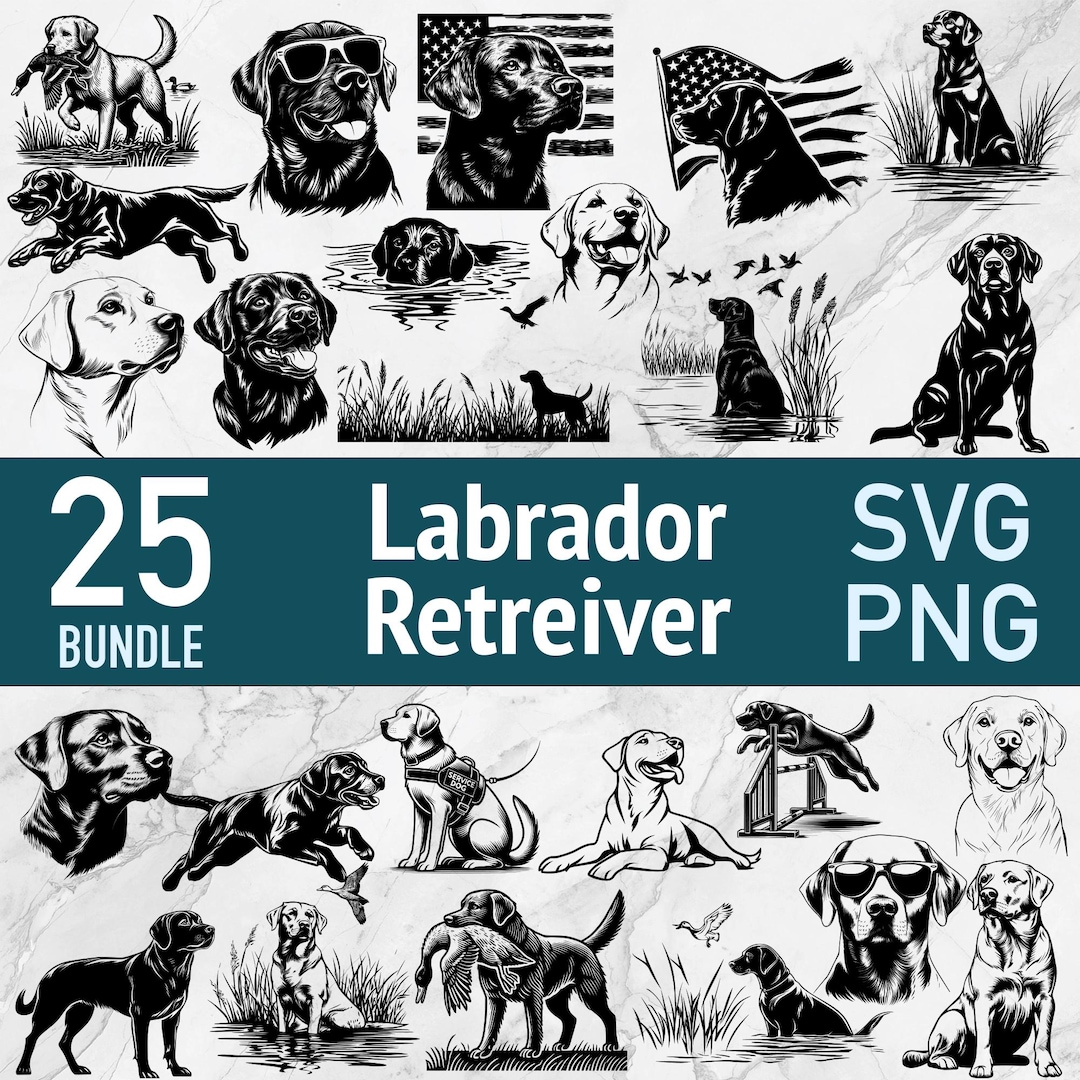 Labrador Retriever SVG Bundle: Sporting Dog Vector Clipart (25 Designs ...