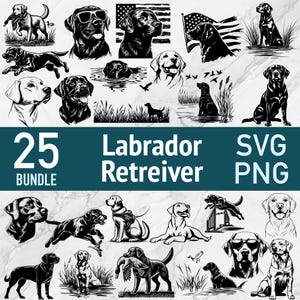 Labrador Retriever - Razas de perros SVG - Paquete de archivos cortados con láser - Imágenes prediseñadas vectoriales de Labrador negro PNG Caza de patos deportivos Arte de corte xTOOL Glowforge