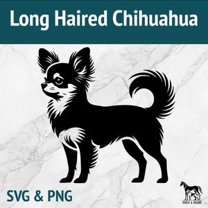 Chihuahua de pelo longo SVG - Raças de cães Silhueta PNG Vetor Clipart - Pacote de arquivos cortados a laser Cricut xTOOL Glowforge - Filhote de cachorro de brinquedo para amantes de animais de estimação