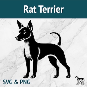 Rat Terrier SVG - Raças de cães SVG - Silhueta PNG Vector Clipart - Pacote de arquivos de corte a laser para Cricut xTOOL Glowforge Cutting Art Toy Rattie