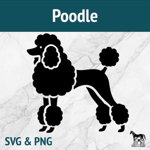 Poodle SVG - Raças de cães SVG - Silhueta PNG Vector Clipart - Pacote de arquivos de corte a laser para Cricut xTOOL Glowforge - Brinquedo padrão de arte de corte