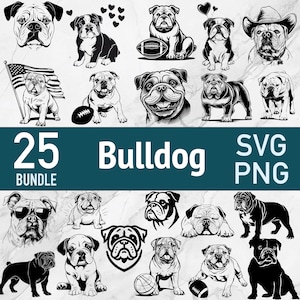 Bulldoggen SVG - 25 Bundle Schnittdateien für Cricut - Beliebte Designs Team Maskottchen Fußball Süßer englischer Hund Vektor Clipart PNG - Haustier Sport Laser
