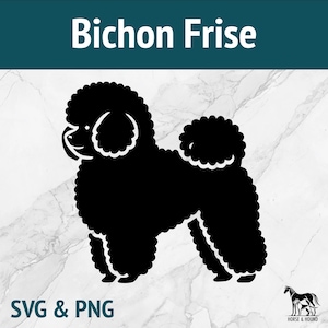 Bichon Frise SVG - Raças de cães Silhueta PNG Vector Clipart - Pacote de arquivos cortados a laser Cricut xTOOL Glowforge - Amante de animais de estimação Filhote de cachorro de brinquedo fofo