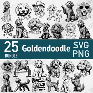 Goldendoodle SVG - 25 arquivos de corte a laser de cães Golden Doodle - Designs PNG de clipart vetorial engraçados e fofos - Cricut Engraving DIY para presentes de arte em camisas