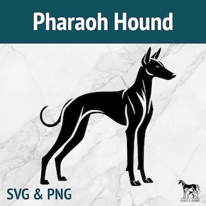 May include: Black silhouette of a Pharaoh Hound dog standing on a white marble background. The dog is facing the right side of the image. The text "Pharaoh Hound" is at the top of the image. The text "SVG & PNG" is at the bottom of the image.