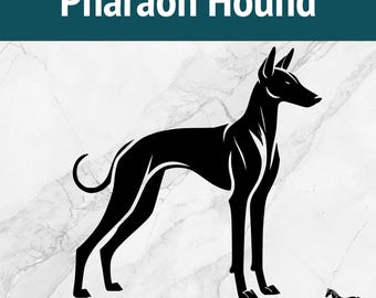 Pharaonenhund SVG: Elegante Hundesilhouette, Laserschnitt-Datei (SVG, PNG)