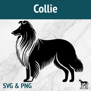 Collie SVG - Silhouette di razze di cani PNG Clipart vettoriali - Pacchetto di file tagliati al laser Cricut xTOOL Glowforge - Animale domestico carino soffice ruvido pastore
