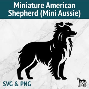Miniature American Shepherd SVG - Mini Aussie - Razze di cani Silhouette PNG Vector Clipart - Pacchetto di file tagliati al laser Cricut xTOOL Glowforge
