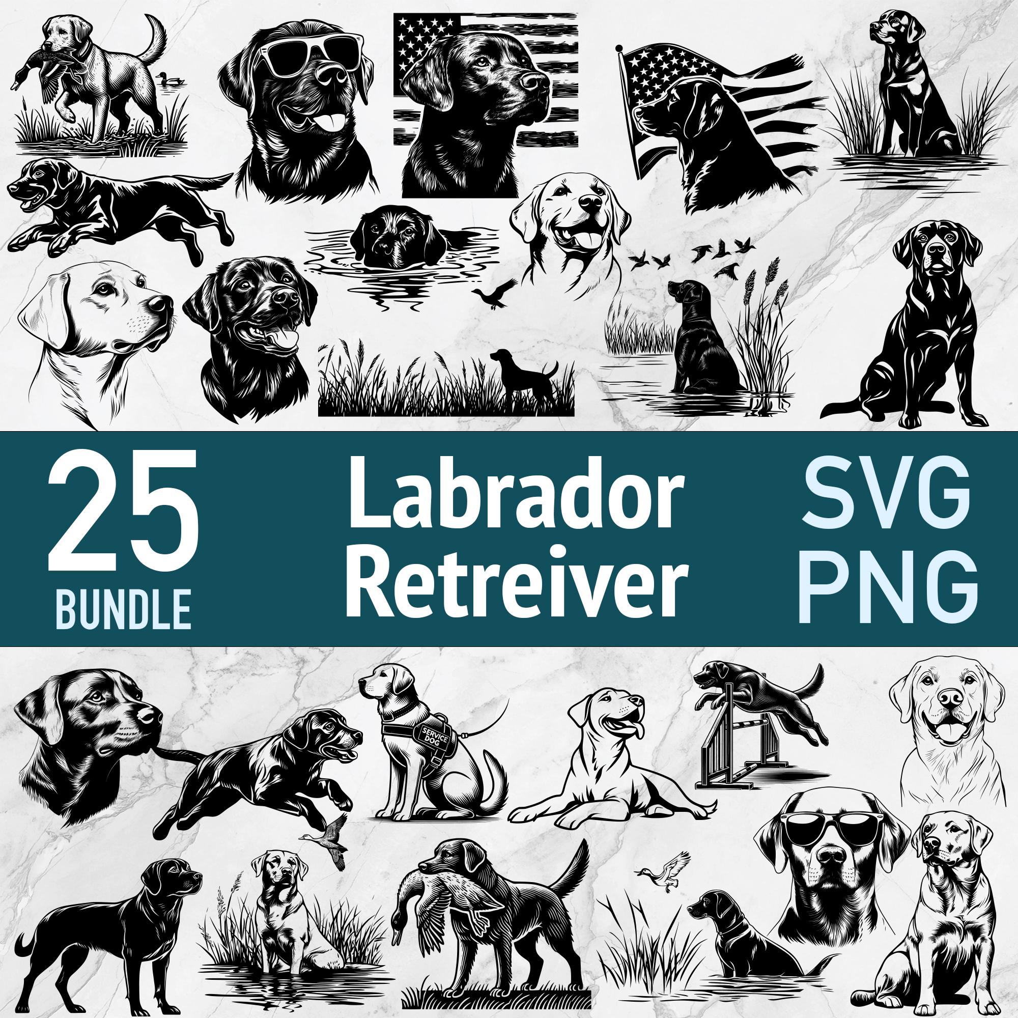 Labrador SVG: Lab Retriever Dog PNG Laser Cut File Bundle Vector ...