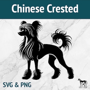 Chinese Crested SVG - Raças de cães Silhueta PNG Vector Clipart - Pacote de arquivos cortados a laser Cricut xTOOL Glowforge - Brinquedo fofo de pelo curto para animais de estimação