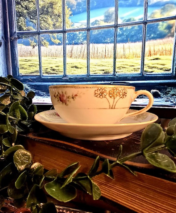 Morimura Teacup + Saucer - Vintage Pink Roses China Moriage - Elegant China Tea Set for Collectors & Gift Giving