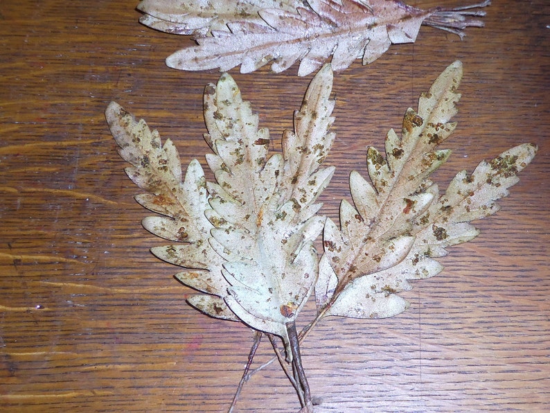 Brown Millinery Flower Fabric Leaves Mocha Brown w mica glitter Hat Corsage Floral Supply lot