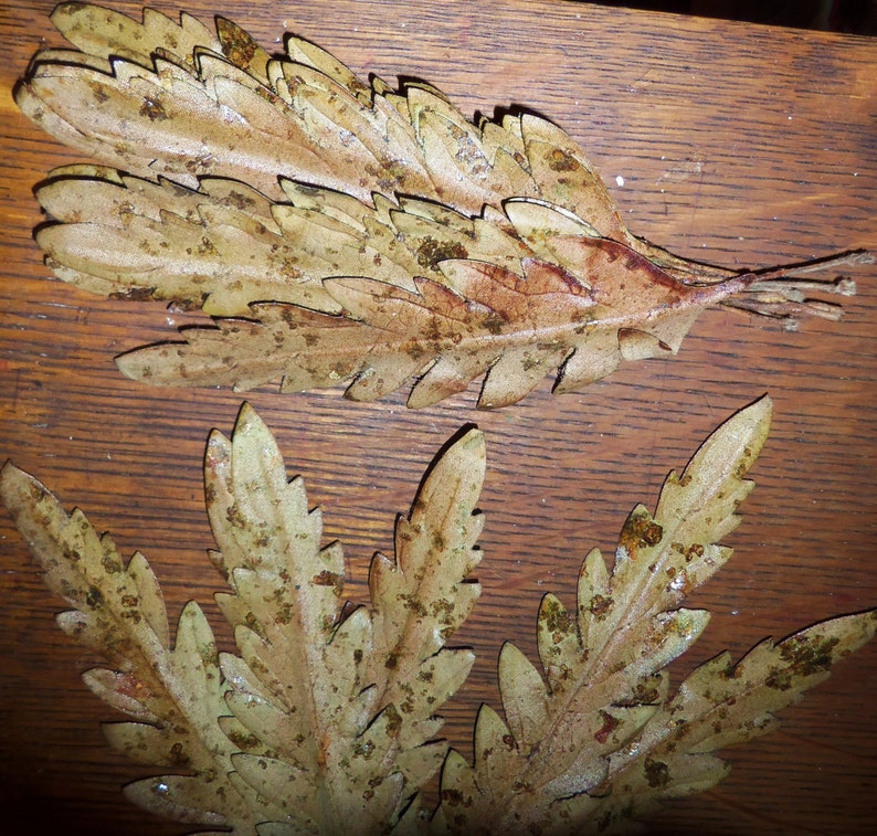 Brown Millinery Flower Fabric Leaves Mocha Brown w mica glitter Hat Corsage Floral Supply lot
