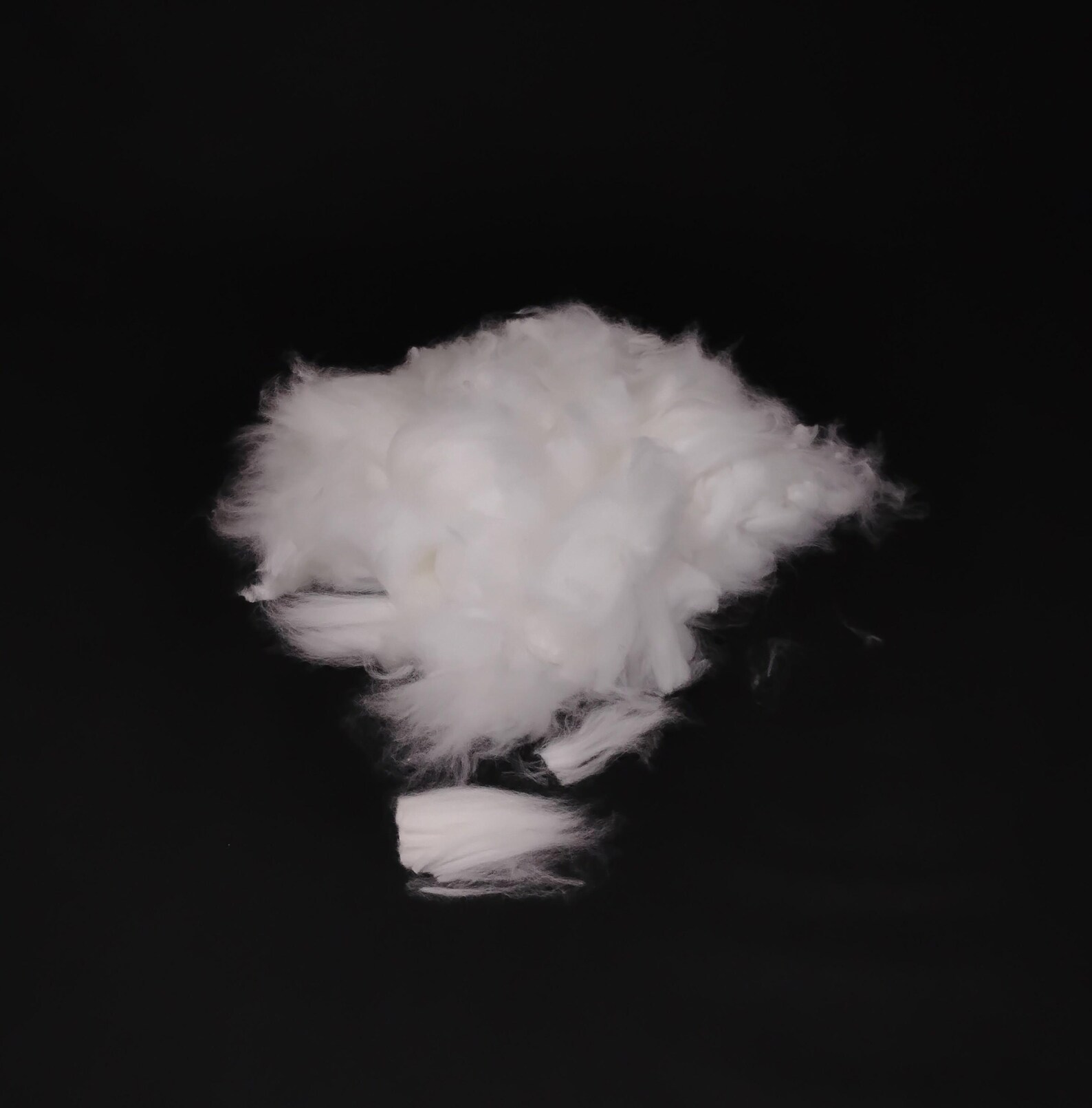 1/2-oz Satin Angora Rabbit Fiber for Hand Spinning, White - Etsy