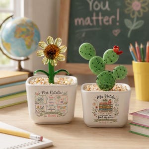 Vaso para plantas para professor de fonoaudiologia: flor de vidro, vaso de cerâmica, presente de agradecimento para fonoaudiólogos