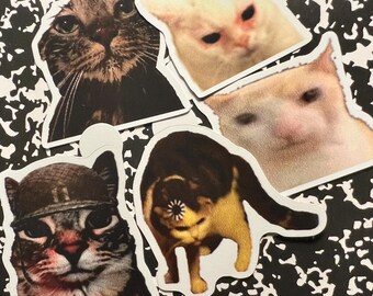 6 Pack Cat Meme Stickers Pack , Crying Cat Meme Stickers , Meme ...