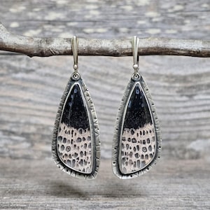 May include: A pair of teardrop-shaped earrings featuring a fossilized coral stone with a black top and a beige, porous-textured bottom. The stones are encased in a silver metal frame with a decorative notched edge and attached to silver ear wires.