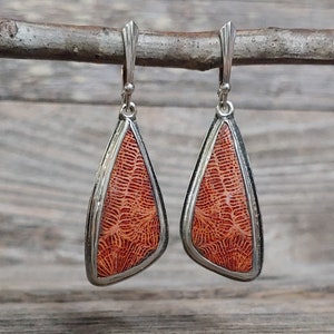 Natürliche Fossil Coral Metallarbeit Cabochon Sterlingsilber Ohrringe