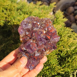 Rare Natural Auralite-23 Amethyst Cluster Geode – Premium Quality Super 7, Elestial, and Red Cap Amethyst