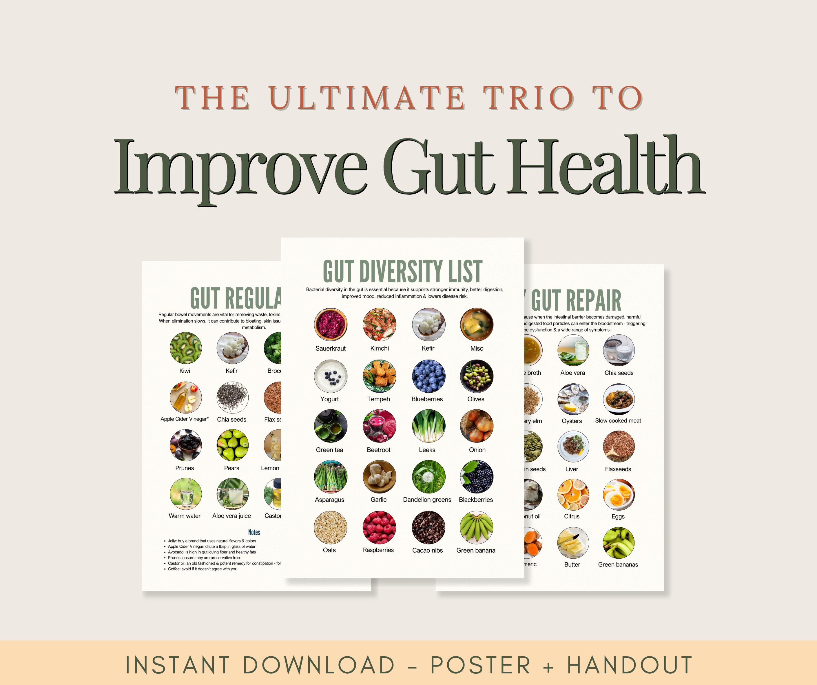 Gut Health Diet Guide – Healthy Food Lists for Leaky Gut, Digestion & Gut Flora | Printable Nutrition Poster and Handout
