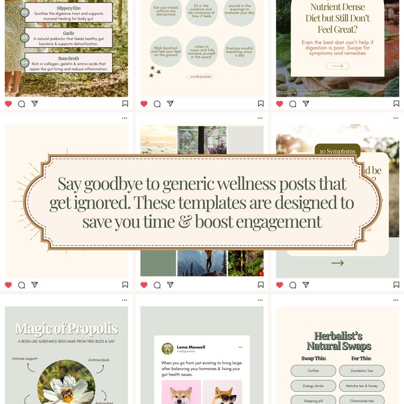 146 Holistic Health, Wellness & Nutrition DFY Instagram Template Posts ...