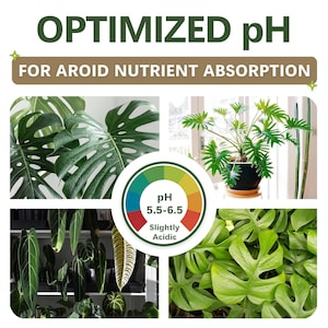 AROID Potting Mix/Premium Soil for Monstera, Philodendron, Alocasia, Anthurium image 3