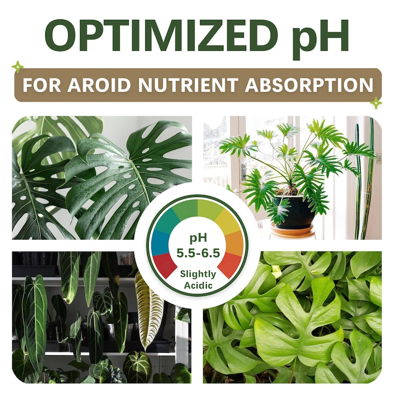 AROID Potting Mix/Premium Soil for Monstera, Philodendron, Alocasia, Anthurium image 3