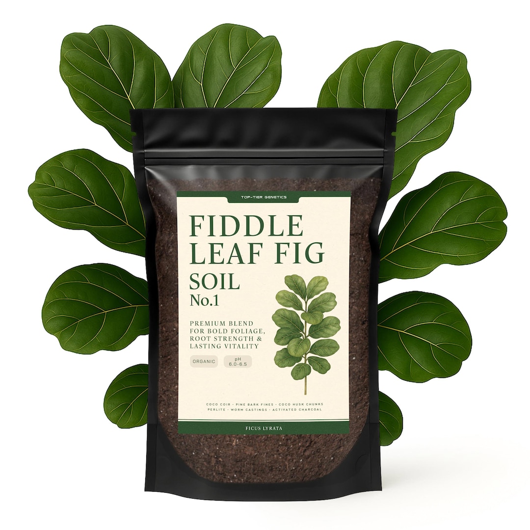 Premium Fiddle Leaf FIG Soil Mix – Nutrient-rich, Organic Potting Soil