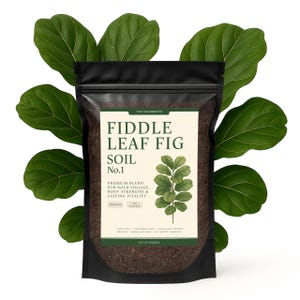 Fiddle Leaf Fig Potting Soil - Etsy