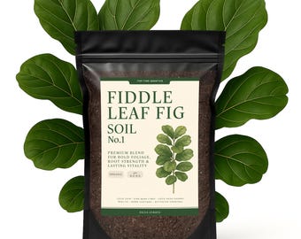 May include: A black bag of Fiddle Leaf Fig Soil No.1, with a label featuring text and a botanical illustration. The soil is surrounded by large green fiddle leaf fig leaves. The label reads "Premium Blend for Bold Foliage, Root Strength & Lasting Vitality."